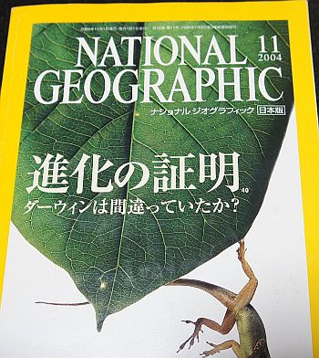 1444785213_natio_geo_jp_2004.11.front.350.jpg